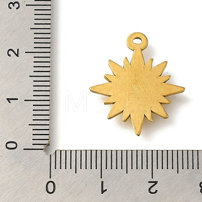 304 Stainless Steel Pendants STAS-Z092-01G-09-1