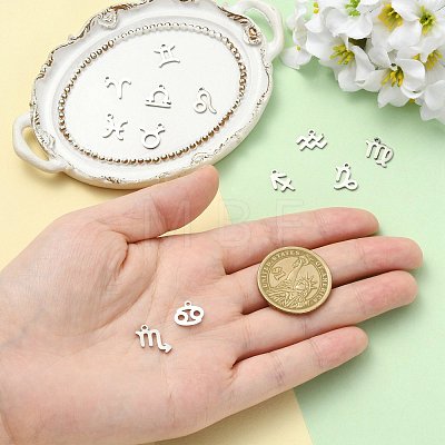 12Pcs 12 Styles 304 Stainless Steel Constellation Pendants STAS-FS0002-34-1