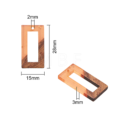 Transparent Resin & Walnut Wood Pendants RESI-CJ0001-77-1