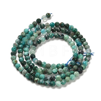 Natural Chrysocolla Beads Strands G-K373-B06-03-1