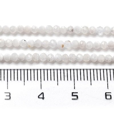 Natural Rainbow Moonstone Beads Strands G-G161-A01-01-1