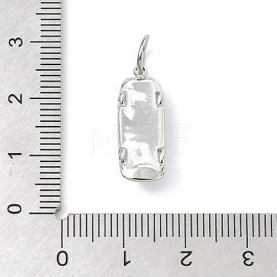 304 Stainless Steel Pendants STAS-A145-03G-P-1