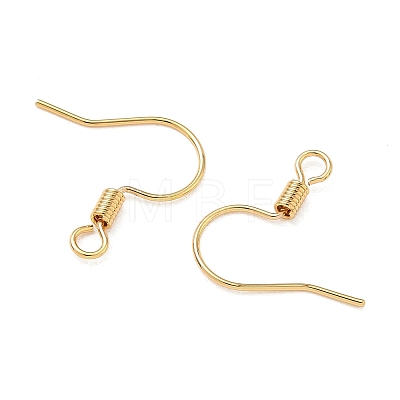 SHEGRACE Brass Earring Hooks XGR0140G-153G-1