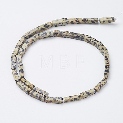 Natural Dalmatian Jasper Beads Strands X-G-G968-D10-1