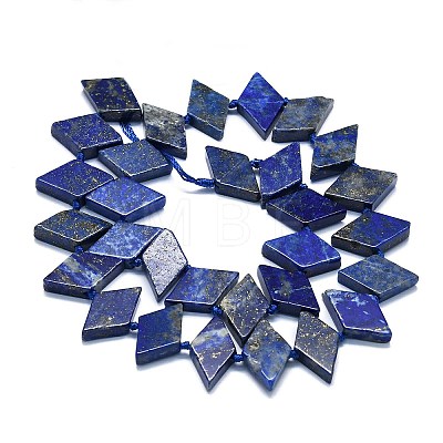 Natural Lapis Lazuli Beads Strands G-K245-E05-A01-1