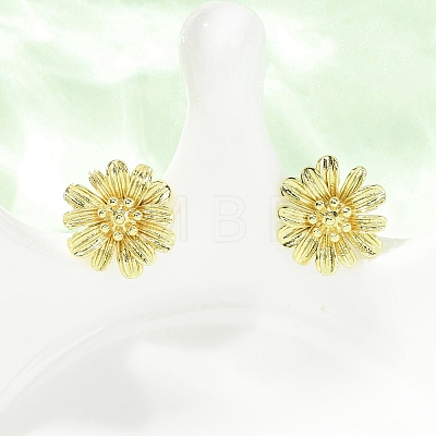 Valentine's Day Flower Brass Stud Earrings EJEW-D351-03G-1