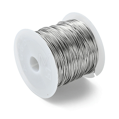 Non-Tarnish 316 Surgical Stainless Steel Wire TWIR-L004-01D-P-1