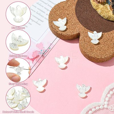 Natural Shell Beads BSHE-H017-02-1