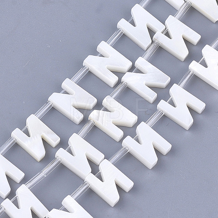 Freshwater Shell Beads X-SHEL-T012-59N-1