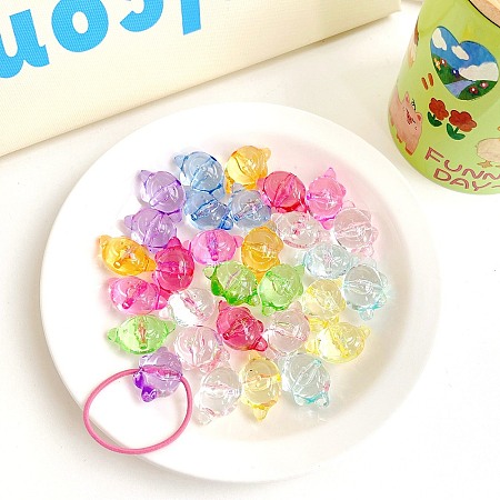 Transparent Acrylic Beads TACR-F008-09D-1