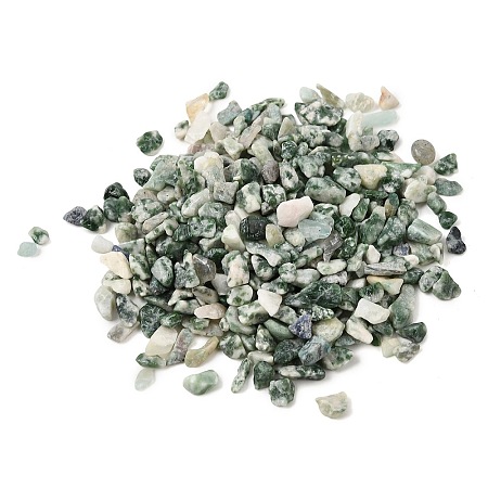Natural Green Spot Jasper Chip Beads GG-CBABB01-02-1