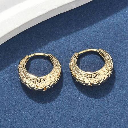 Brass Hoop Earrings EJEW-D320-16G-1