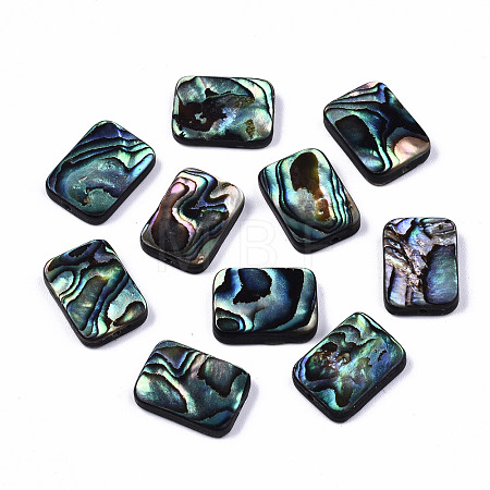 Natural Abalone Shell/Paua Shell Beads SSHEL-T014-11A-1