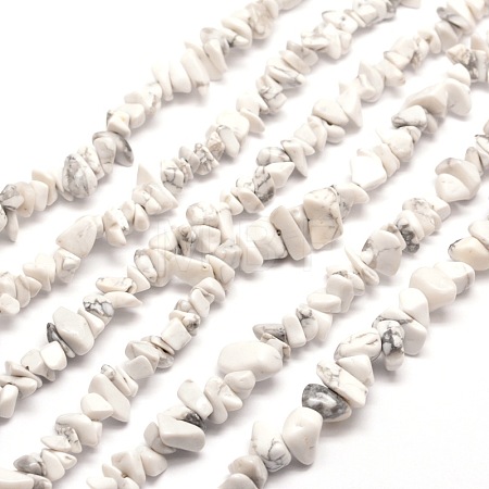 Synthetic White Howlite Chip Bead Strands G-M205-53-1