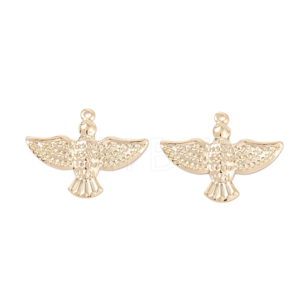 Brass Pendants KK-K253-05G-1
