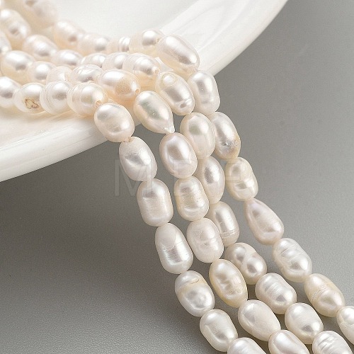 Natural Cultured Freshwater Pearl Beads Strands PEAR-P062-06A-1