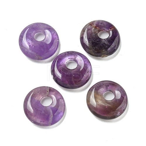 Natural Amethyst Donut/Pi Disc Charms G-G142-02L-1