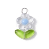 Transparent Acrylic Pendants PALLOY-JF03713-01-3
