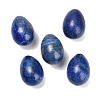 Dyed Natural Lapis Lazuli Egg Stone GG-L654-H02-04-1