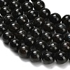Natural Glaucophane Beads Strands G-L642-B03-8mm-4