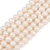 Natural Cultured Freshwater Pearl Beads Strands PEAR-I007-07J-08A-2