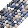 Natural Sodalite Beads Strands G-D691-8mm-2