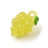 Opaque Resin Imitation Fruit Pendants RE-CBAE54B-02D-2