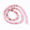 Shell Beads Strands SSHEL-E571-49A-4