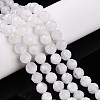 Natural Moonstone Beads Strands G-S345-6mm-36-2