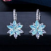 Brass Cubic Zirconia Hoop Earrings WGBE890-06-2