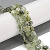 Natural Prehnite Beads Strands G-G053-B12-01B-2