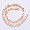 Natural Cultured Freshwater Pearl Beads Strands PEAR-N012-07G-3