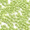 Baking Paint Glass Seed Beads X1-SEED-A032-02F-3
