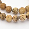 Natural Picture Jasper Beads Strands G-D659-8mm-1