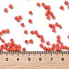 Red Series 600G 24 Colors Glass Seed Beads SEED-JP0008-02-3mm-3