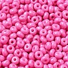 Baking Paint Glass Seed Beads SEED-B001-02A-01-3