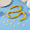 1 Strand Natural Freshwater Shell Beads Strands SHEL-TA0001-35A-5