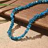 Natural Apatite Chip Beaded Necklaces for Men Women NJEW-G159-01I-2