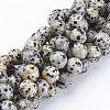 Natural Dalmatian Jasper Beads Strands X-GSR12mmC004-1
