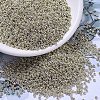 MIYUKI Round Rocailles Beads SEED-G007-RR4201-1