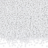 100G Glass Seed Beads SEED-SP0001-14A-01-1