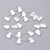 Natural White Shell Mother of Pearl Shell Beads SSHEL-L018-014-3