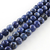 Dyed Natural Sesame Jasper Round Beads Strands X-G-R342-6mm-12-1