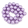 Electroplated Shell Pearl Beads Strands BSHE-F018-01-3