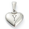304 Stainless Steel Pendants STAS-P278-01Y-P-1