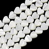Natural Trochid Shell/Trochus Shell Beads Strands SH-CBA2978-19A-1
