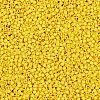 MIYUKI Delica Beads X-SEED-J020-DB2284-2