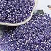 Glass Seed Beads X1-SEED-S042-04A-08-1