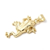 Frog Charms Brass Pendants KK-H529-48G-2