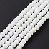 Electroplate Opaque Solid Color Glass Beads Strands EGLA-A044-P1mm-L01-2